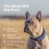 Halo Collar 5 Wireless Dog Fence & GPS Dog Collar image thumbnail 2