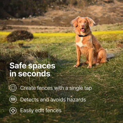 Halo Collar 5 Wireless Dog Fence & GPS Dog Collar - Image 3