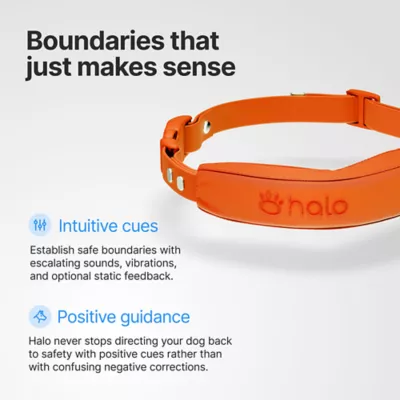 Halo Collar 5 Wireless Dog Fence & GPS Dog Collar - Image 5