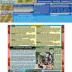 Gentle Giants All Life Stages Dry Dog Food - Natural, Non GMO, Beef and Bacon Flavor image thumbnail 7