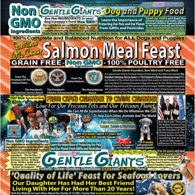 Gentle Giants All Life Stages Dry Dog Food - Natural, Non-GMO, Grain Free, Salmon - Image 2