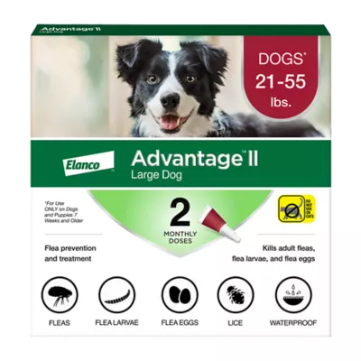 Advantage® II Flea Prevention & Treatment for Large Dogs 21-55 lbs, Monthly Doses - Image 1