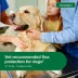 Advantage® II Flea Prevention & Treatment for Large Dogs 21-55 lbs, Monthly Doses image thumbnail 4