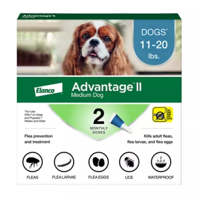 Advantage® II Flea Prevention & Treatment for Medium Dogs 11-20 lbs, Monthly Doses - Image 1