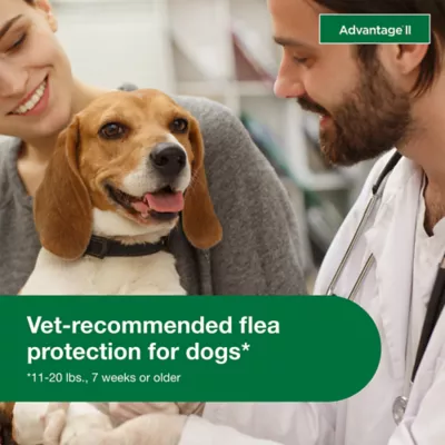 Advantage® II Flea Prevention & Treatment for Medium Dogs 11-20 lbs, Monthly Doses - Image 4
