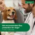 Advantage® II Flea Prevention & Treatment for Medium Dogs 11-20 lbs, Monthly Doses image thumbnail 4