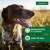 Advantage® II Flea Prevention & Treatment for Medium Dogs 11-20 lbs, Monthly Doses image thumbnail 5
