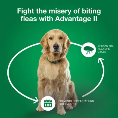 Advantage® II Flea Prevention & Treatment for Medium Dogs 11-20 lbs, Monthly Doses - Image 6
