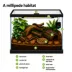 Live Pet Smokey Oak Millipede image thumbnail 3