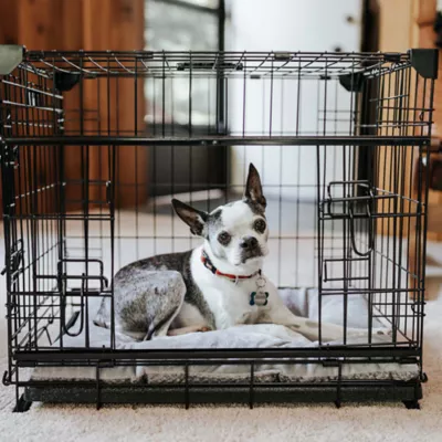 Lucky Dog - Dwell Series - Crate with Sliding Side Door - Image 8