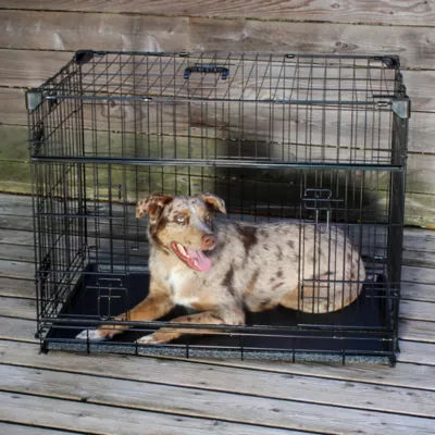Lucky Dog - Dwell Series - Crate with Sliding Side Door - Image 9