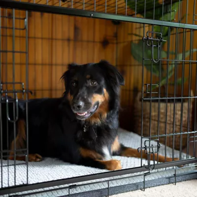 Lucky Dog - Dwell Series - Crate with Sliding Side Door - Image 10