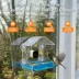 Instachew Purrsight Birdsight Camera Window Bird Feeder image thumbnail 2