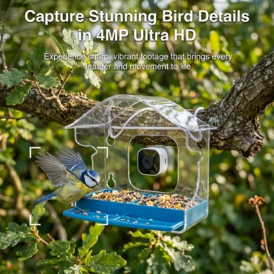 Instachew Purrsight Birdsight Camera Window Bird Feeder - Image 3