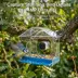 Instachew Purrsight Birdsight Camera Window Bird Feeder image thumbnail 3
