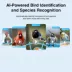 Instachew Purrsight Birdsight Camera Window Bird Feeder image thumbnail 5