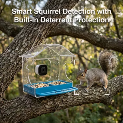 Instachew Purrsight Birdsight Camera Window Bird Feeder - Image 6