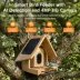 Instachew Purechew Birdsight HD Outdoor Bird Feeder image thumbnail 3