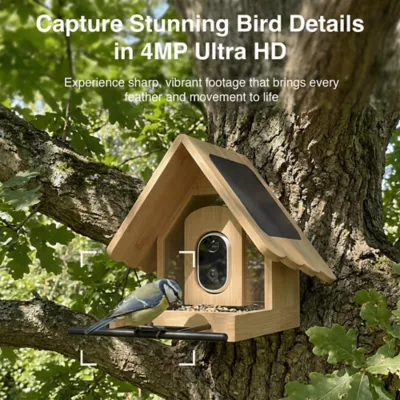 Instachew Purechew Birdsight HD Outdoor Bird Feeder - Image 4