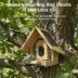 Instachew Purechew Birdsight HD Outdoor Bird Feeder image thumbnail 4