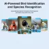 Instachew Purechew Birdsight HD Outdoor Bird Feeder image thumbnail 6
