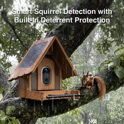 Instachew Purechew Birdsight HD Outdoor Bird Feeder - Image 7