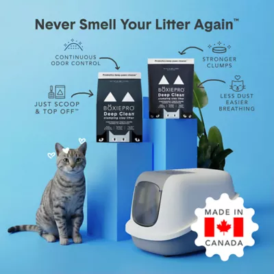 Boxiecat Probiotic Clumping Cat Litter 40+ Day Odor Control Dust Free - Image 2