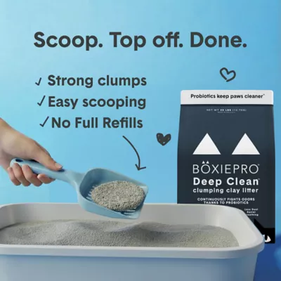 Boxiecat Probiotic Clumping Cat Litter 40+ Day Odor Control Dust Free - Image 3