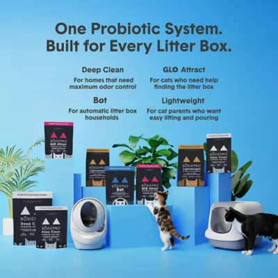 Boxiecat Probiotic Clumping Cat Litter 40+ Day Odor Control Dust Free - Image 5