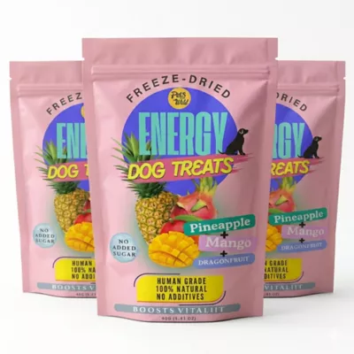 Pets Gone Wild Freeze-Dried Fruit Treats, Energy Support - 3 pack - Image 1