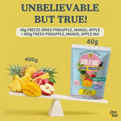 Pets Gone Wild Freeze-Dried Fruit Treats, Skin & Coat - 3 pack - Image 4