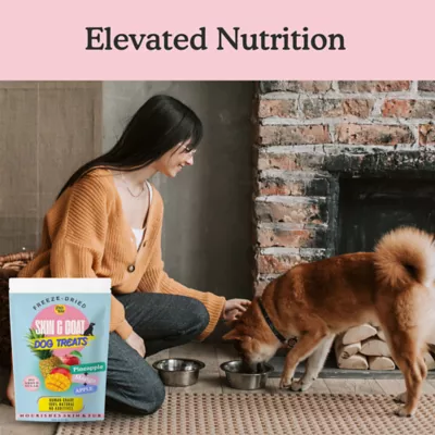 Pets Gone Wild Freeze-Dried Fruit Treats, Skin & Coat - 3 pack - Image 9