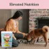 Pets Gone Wild Freeze-Dried Fruit Treats, Skin & Coat - 3 pack image thumbnail 9