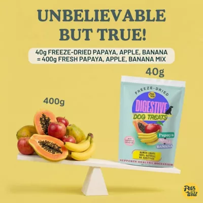 Pets Gone Wild Freeze-Dried Fruit Treats, Digestive Support - 3 pack - Image 4