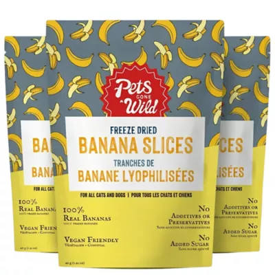 Pets Gone Wild 100% Natural Freeze-Dried Banana Fruit Treats - 3 pack - Image 1