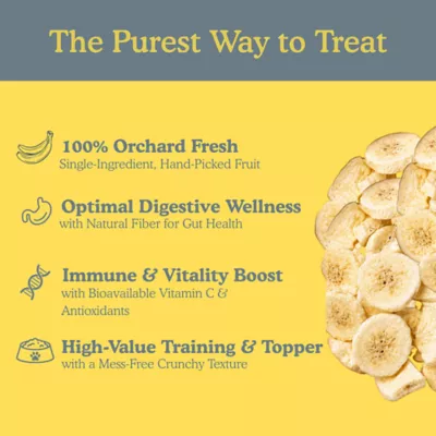 Pets Gone Wild 100% Natural Freeze-Dried Banana Fruit Treats - 3 pack - Image 3