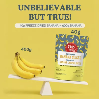 Pets Gone Wild 100% Natural Freeze-Dried Banana Fruit Treats - 3 pack - Image 4