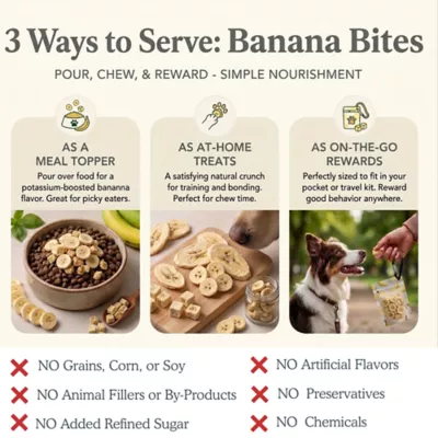 Pets Gone Wild 100% Natural Freeze-Dried Banana Fruit Treats - 3 pack - Image 7