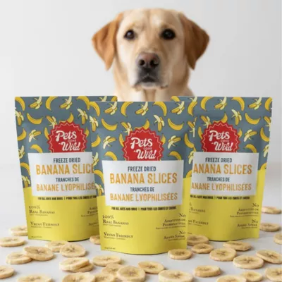 Pets Gone Wild 100% Natural Freeze-Dried Banana Fruit Treats - 3 pack - Image 9