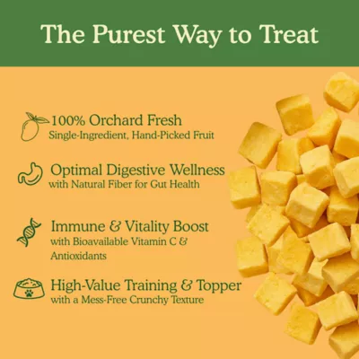 Pets Gone Wild 100% Natural Freeze-Dried Mango Treats - Image 3