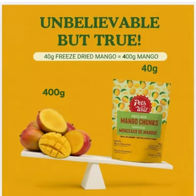 Pets Gone Wild 100% Natural Freeze-Dried Mango Treats - Image 4