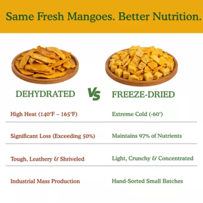 Pets Gone Wild 100% Natural Freeze-Dried Mango Treats - Image 5
