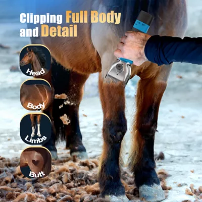 Oneisall Cordless All-in-One Horse Grooming Clippers W/ 4-Hour Battery Life & Spare Battery, Blue - Image 7