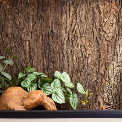New Age Pet® Mojave Reptile Lounge Natural Cork Background Panel Decor - Image 5