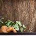 New Age Pet® Mojave Reptile Lounge Natural Cork Background Panel Decor image thumbnail 5