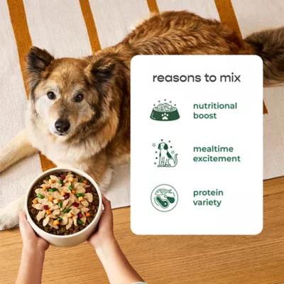 Freshpet Healthy Mixers, All Life Stage Fresh Dog Food, Shredded Chicken Recipe, 8 oz. - Image 5