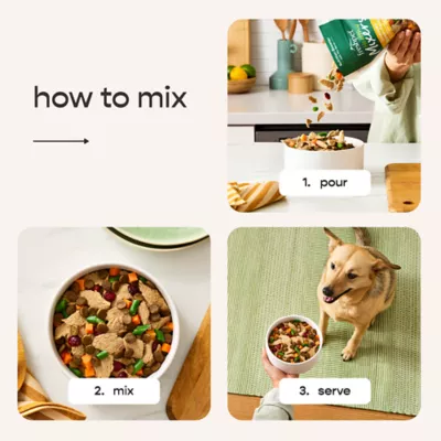 Freshpet Healthy Mixers, All Life Stage Fresh Dog Food, Shredded Chicken Recipe, 8 oz. - Image 6