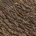New Age Pet® Mojave Reptile Lounge Natural Cork Background Panel Decor image thumbnail 3
