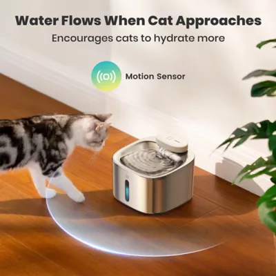 Oneisall 3.5L Cordless Stainless Steel Water Fountain  W/ 60 Day Power Supply & 3-Layer Filtration - Image 5
