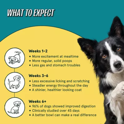 Kismet Dry Dog Food with Freeze Dried Nugs - Salmon - Image 5